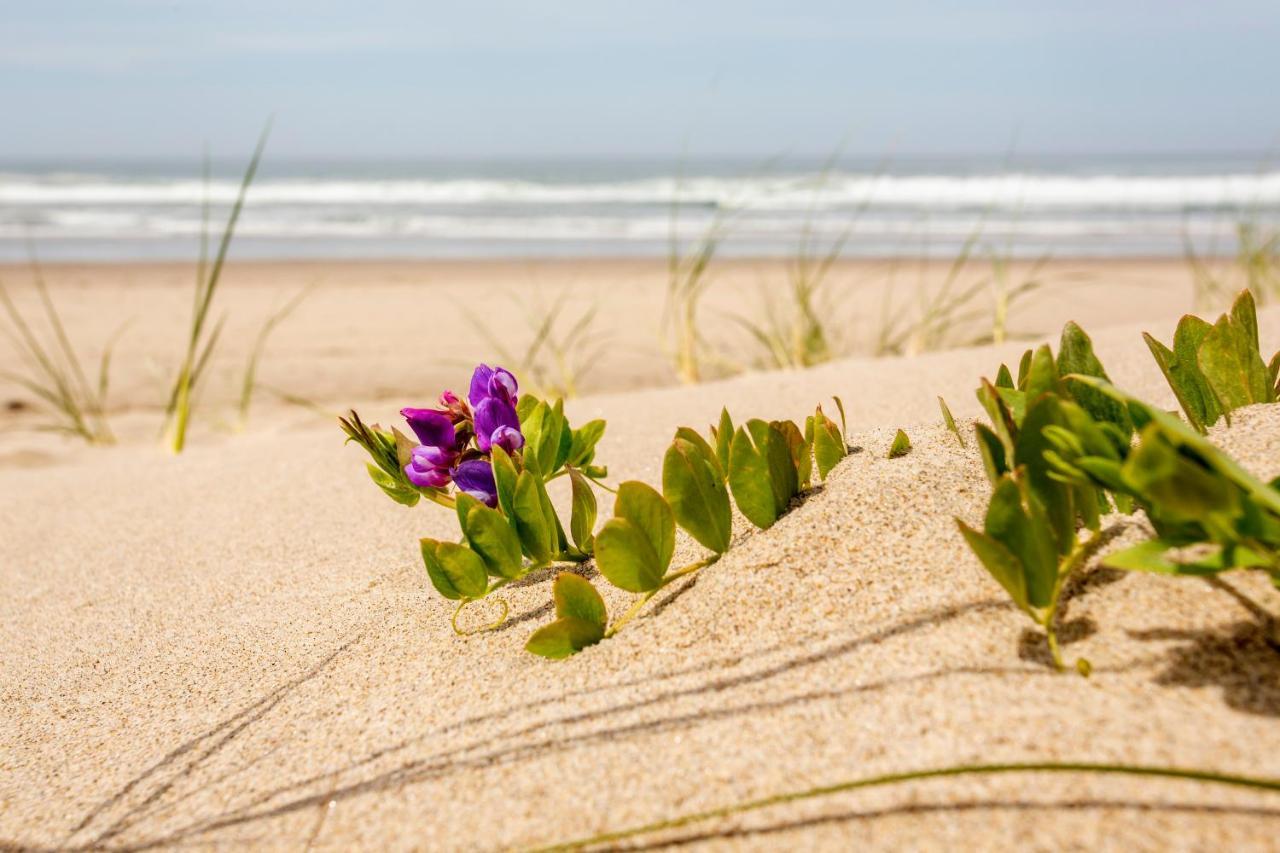 Shearwater Inn Lincoln City Bagian luar foto